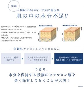 シワ、シミの原因