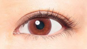 ヒールミーワンデー(Healme 1day)プティブラウンの装着写真