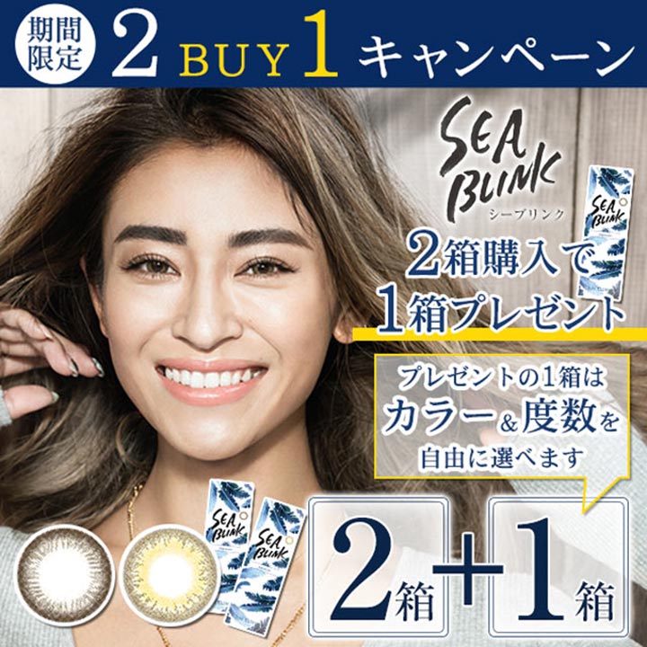 seablink1day 2buy1 1箱無料でプレゼントキャンペーン