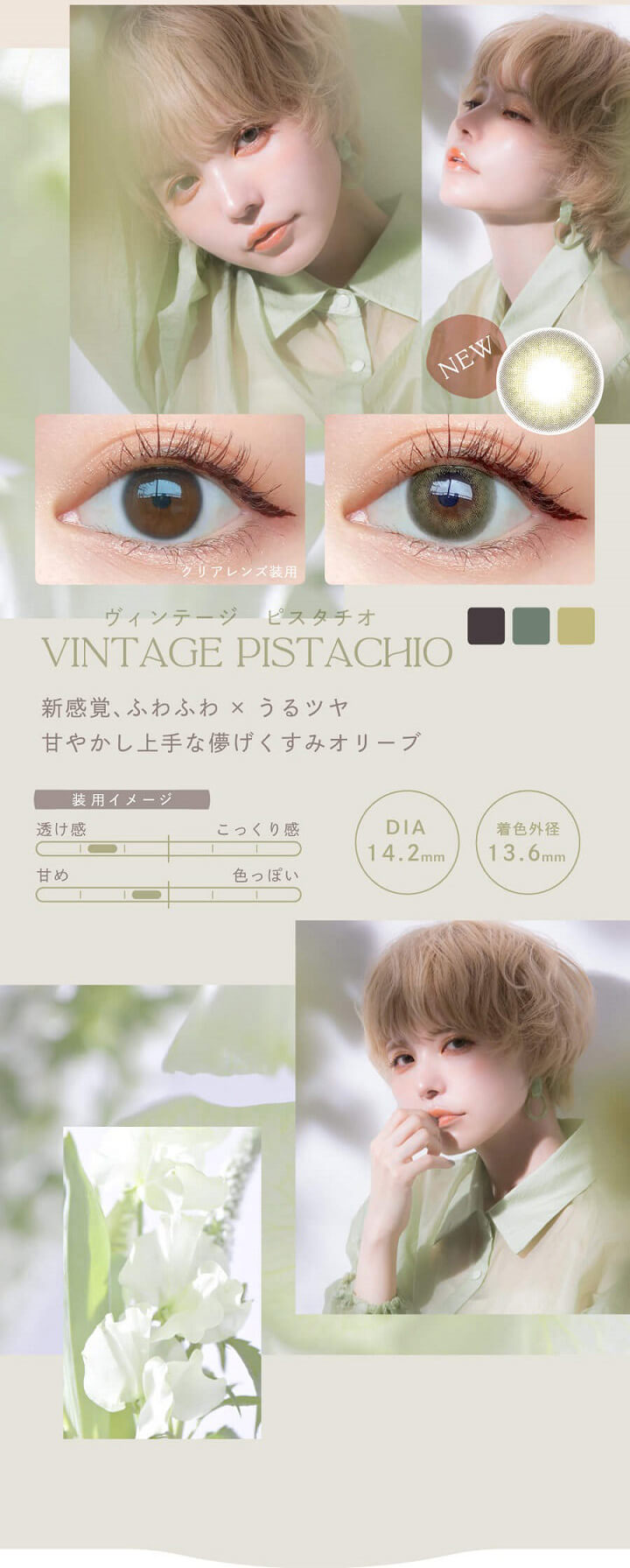 GWFJ[ orf[Be[W (Bambi1day Vintage) - Be[WsX^`I[VINTAGE PISTACHIO]